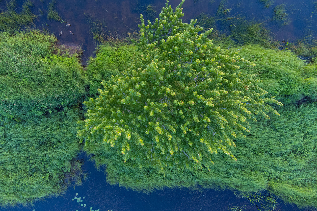 New Brunswick River